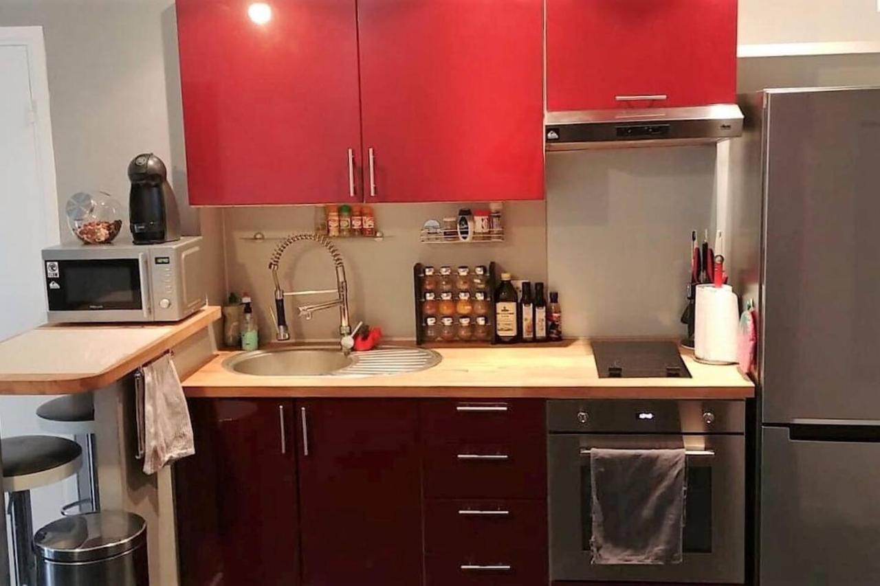Appartamento Charmant studio proche de Nice à 300m des plages Villeneuve-Loubet Esterno foto